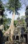 Copy of Cambodge.JPG