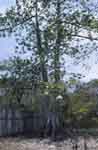 Copy of photo 9.JPG