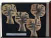 DSCF0039.JPG (576441 octets)